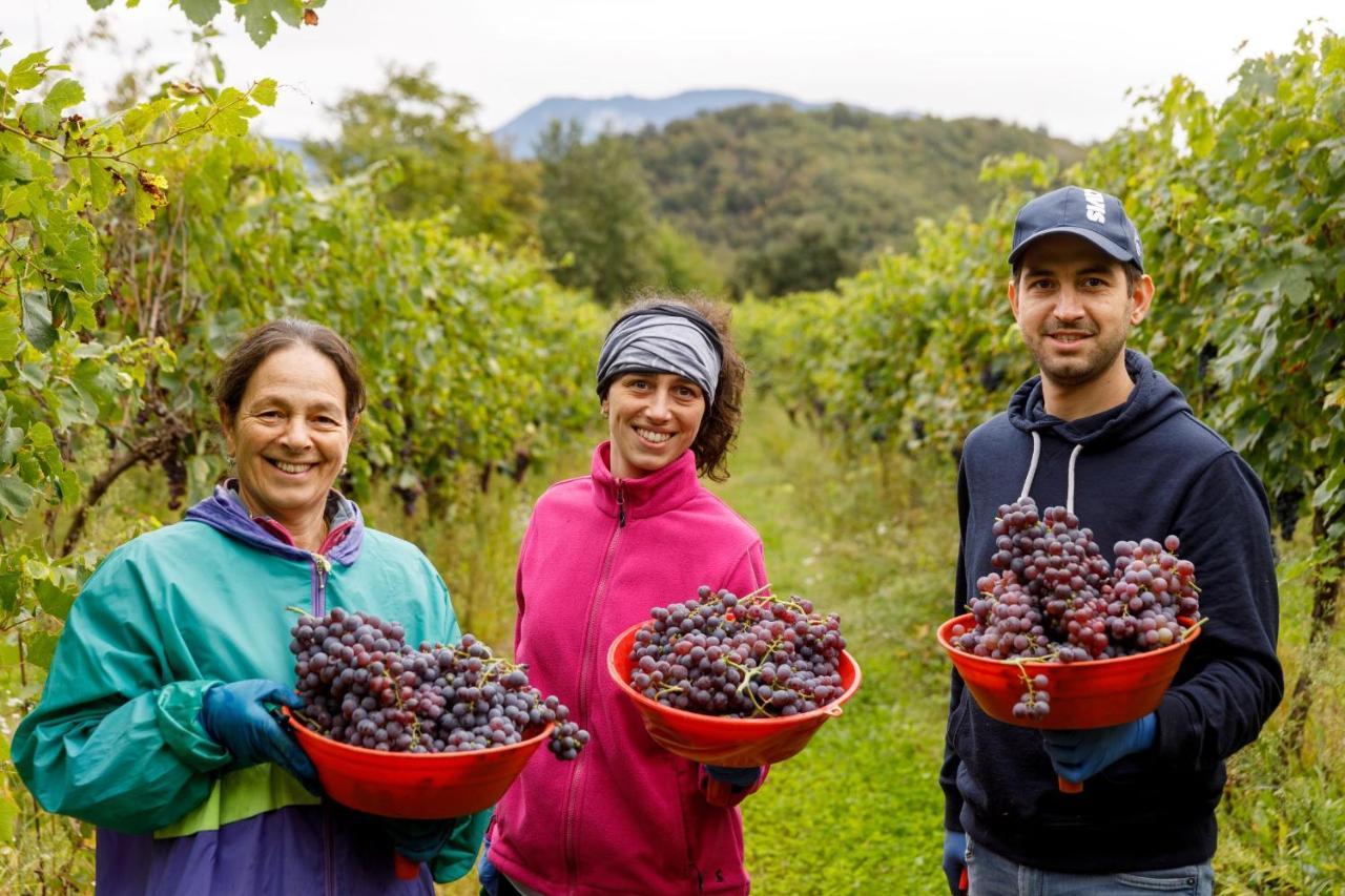 Agriturismo Agricamping Garda Natura Костермано Экстерьер фото